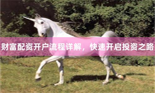 财富配资开户流程详解，快速开启投资之路